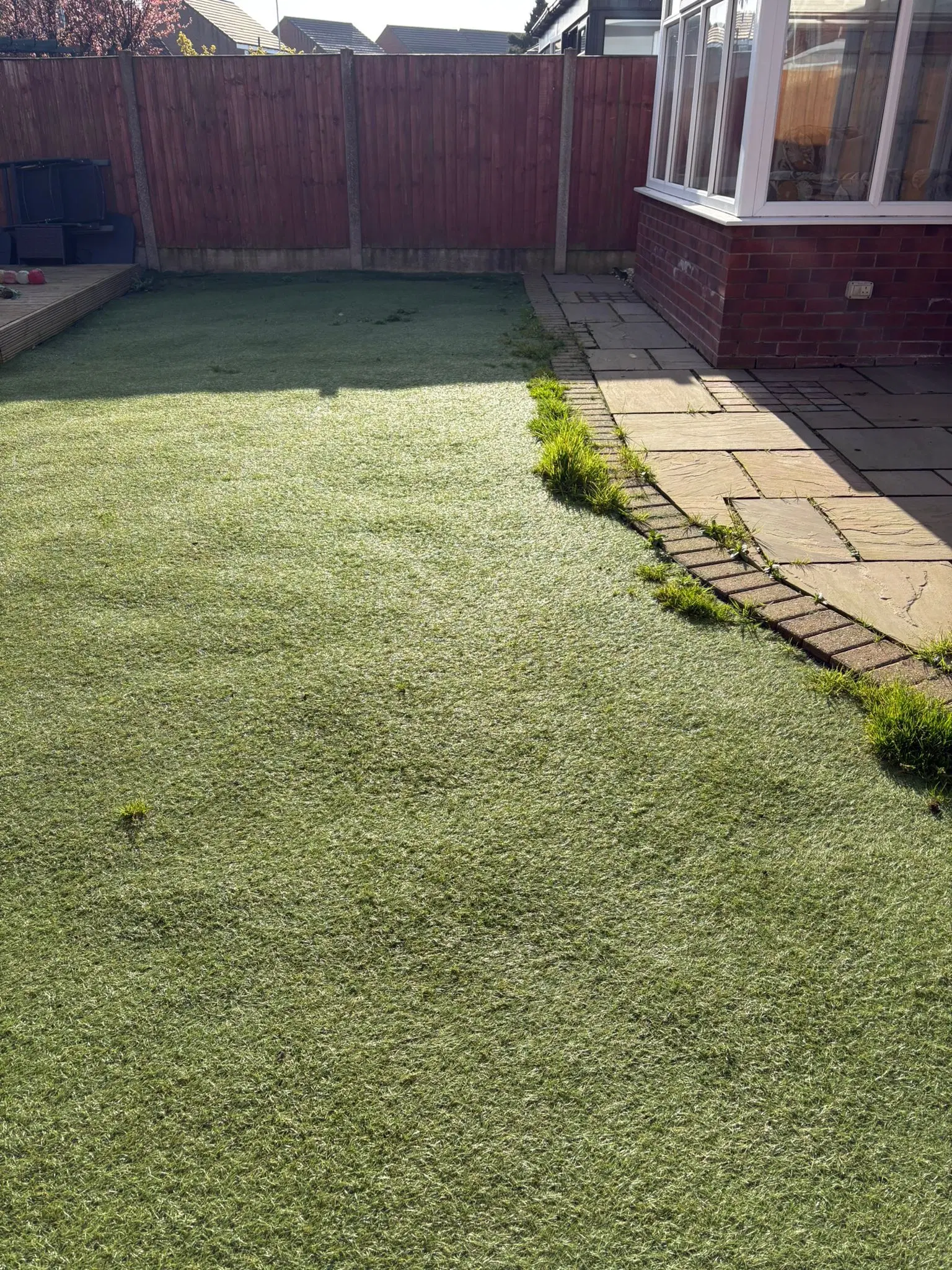 Turf Maintenance Tips for Pet Owners